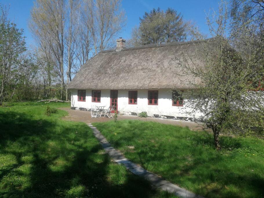Gemuetliches Reetdachhaus Mit Kaminofen Hostel Ribe Exterior photo