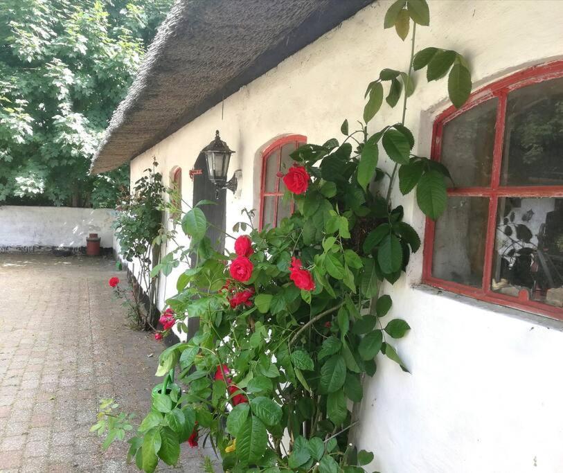 Gemuetliches Reetdachhaus Mit Kaminofen Hostel Ribe Exterior photo