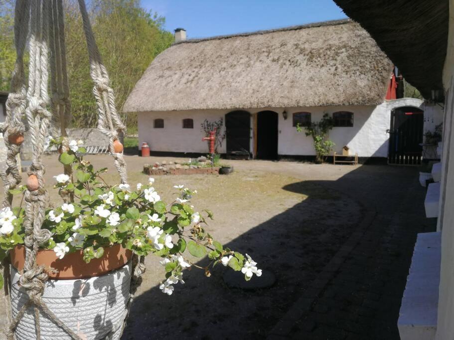Gemuetliches Reetdachhaus Mit Kaminofen Hostel Ribe Exterior photo