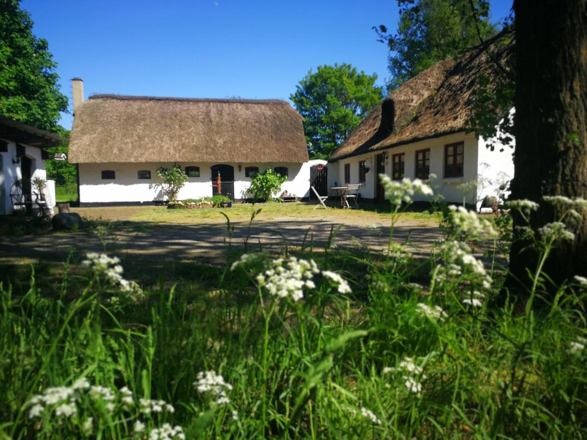 Gemuetliches Reetdachhaus Mit Kaminofen Hostel Ribe Exterior photo